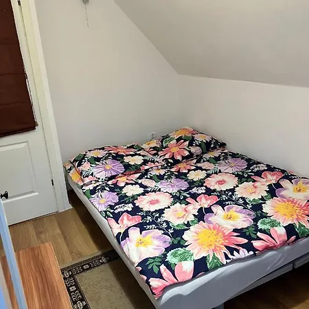 U Emilii ホームステイ ソポト