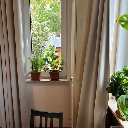 U Emilii ホームステイ