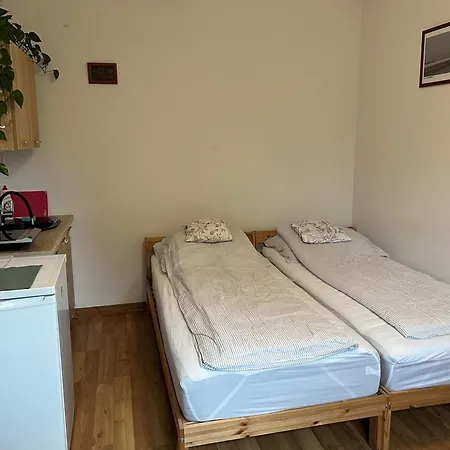 ホームステイ U Emilii